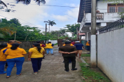Special Dengue Control Programme