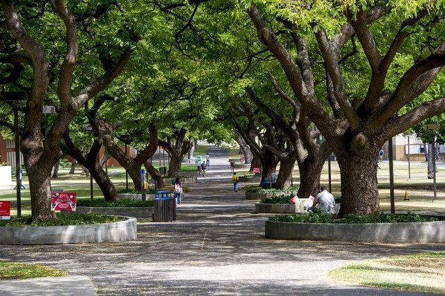 campus