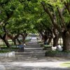 campus